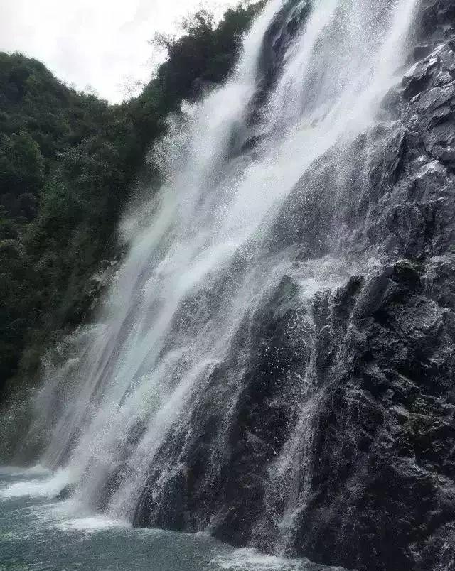拯救精灵的土地6